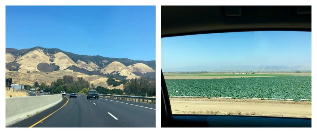 driving in California (Andy Boy rapini field)