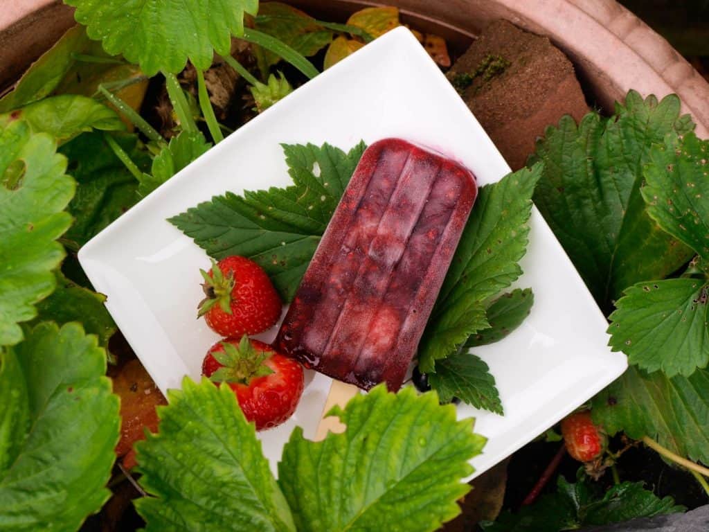 Summer pudding ice lollies