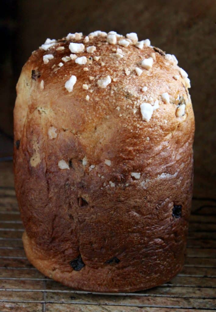 Perfect Italian Panettone made in bread machine