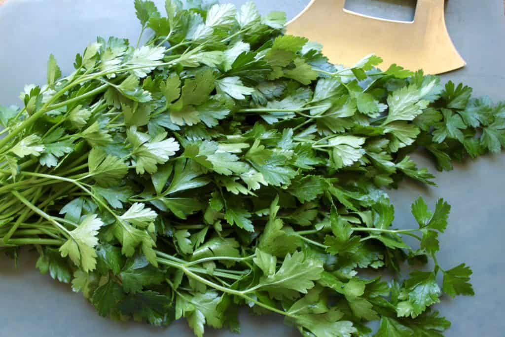 How to Freeze Fresh Parsley (Quick and Easy Tips) Christina's Cucina