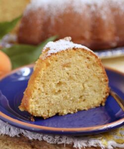 slice of apricot cake