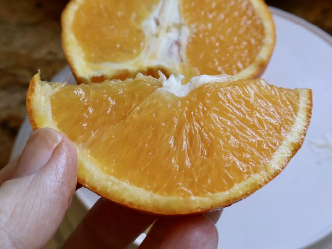 slice of orange